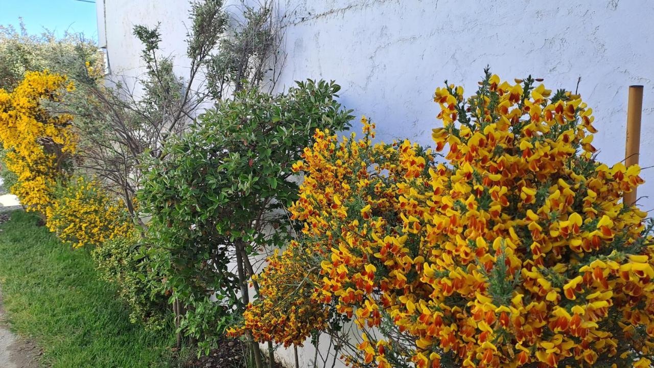 La Casa De Retamas * Rio Grande